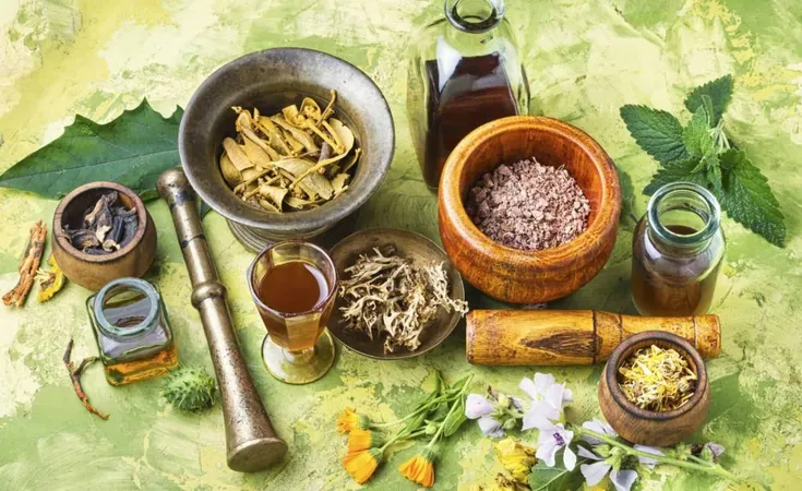 Herbal Naturopathic Medicine X - Ayurvedic Practitioner study guide
