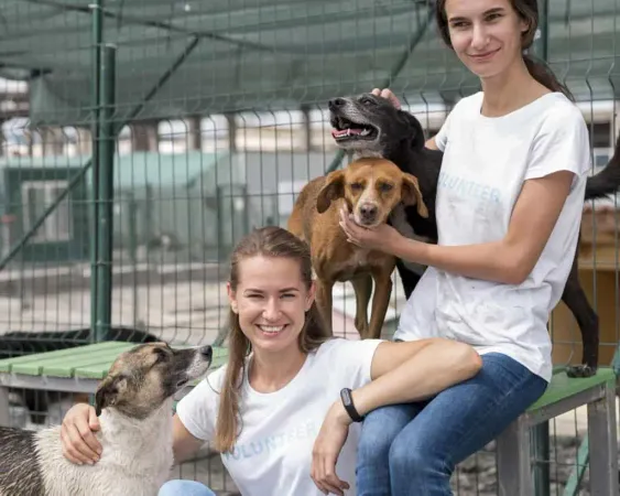 Smiley Woman Spending Time With Cute Rescue Dogs Shelter X - Animal Rescue Certification Online study guide