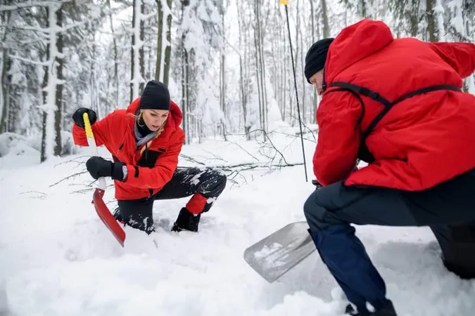Mountain Rescue Service Operation Outdoors Winter Forest Digging Snow With Shovels Avalanche Concept X - Avalanche Safety Certification study guide
