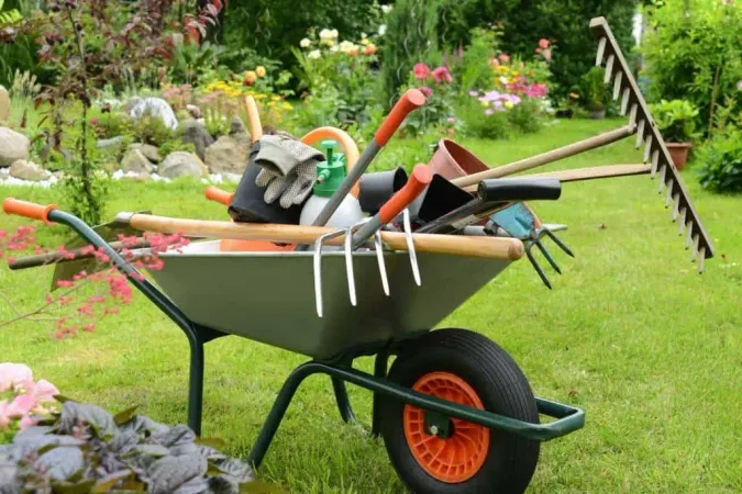 Adobestock - C27 License (C-27 Landscaping Contractor License) study guide