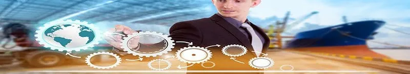Certified Supply Chain Professional - Certified Supply Chain Professional (CSCP) study guide