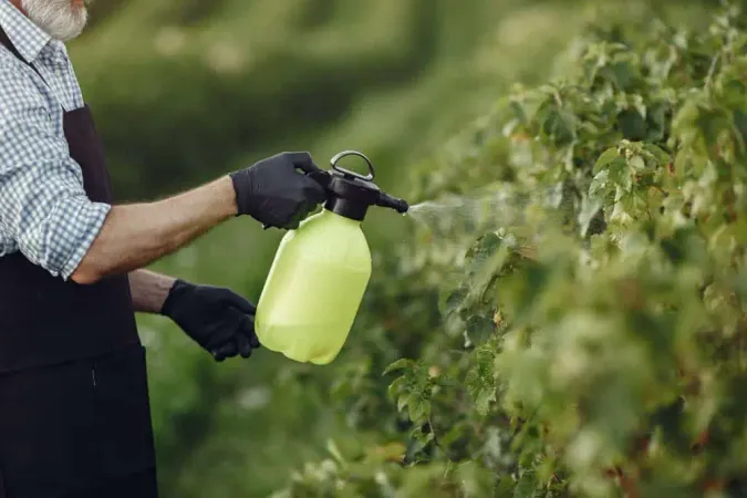 Farmer Spraying Vegetables Garden With Herbicides Man Black Apron X - Certified Pesticide Applicator study guide