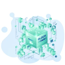 CBSE (Certified Blockchain Security Expert) Test Guide 2026 June