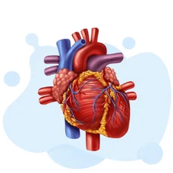 Pass Your CCI Test 2026 with Confidence - Tips & Guide