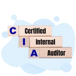 Certified Information Architect Practice Test