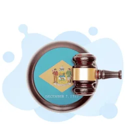 Delaware Bar Exam Practice Test