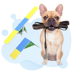 Dog Training 2026 June