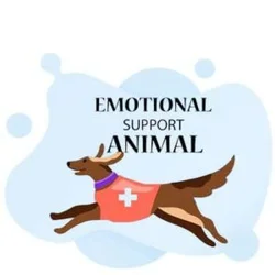 Certified Emotional Support Animal Practice Test