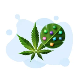 METRC Test: Your Guide to Cannabis Compliance Success 2026 June