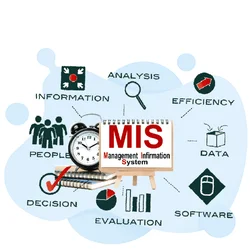MIS Management Information Systems