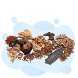 National Certification Commission for Acupuncture and Oriental Medicine Practice Test