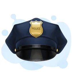 PSO (Protective Service Officer) Test Prep Guide