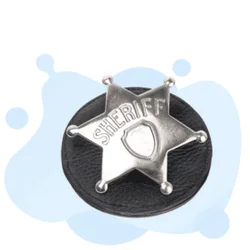 Ace the Sheriff (Deputy Sheriff Exam): Your Guide