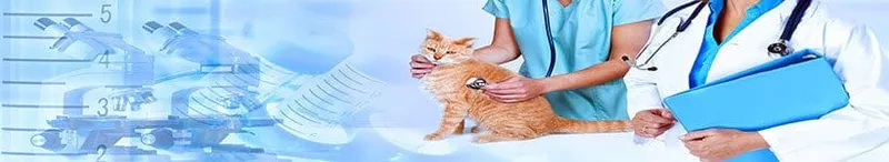 National Veterinary Technician Week - VTNE Exam study guide