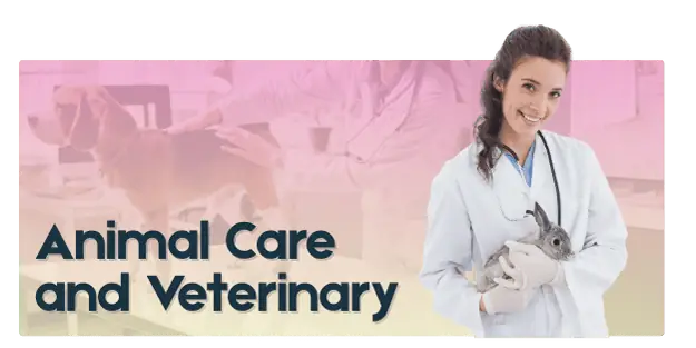 Animal Care and Veterinary